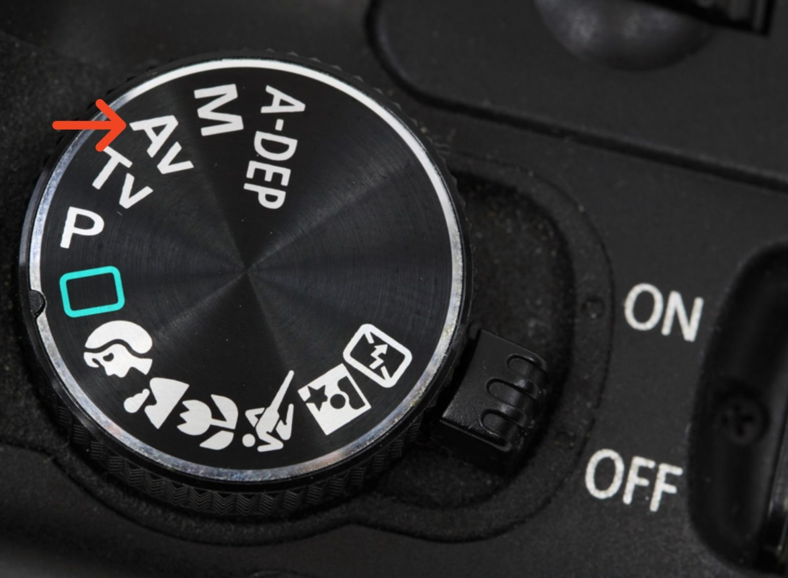 Camera and Lens Settings For Birds In Flight. Michael Vance Pemberton